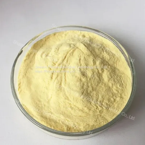 Wholesale Price 100% Pure Natural Plant Aloe Vera Leaf Extract Aloin Powder photo-2