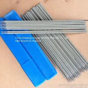 Stainless Steel Electrode photo-3