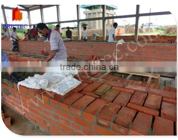 Hot in Africa ! Automatic Tunnel Dryer for Fired Clay Brick photo-3