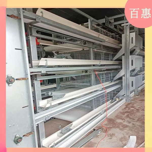 Layer Cages Broiler Cages Poultry Farming Equipment photo-4