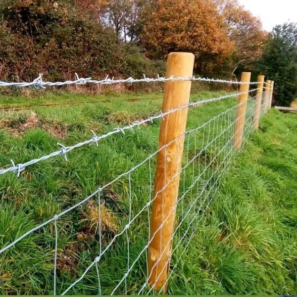 PVC Coated Barbed Wire Mesh in Custom Colors for High-Visibility Fencing
