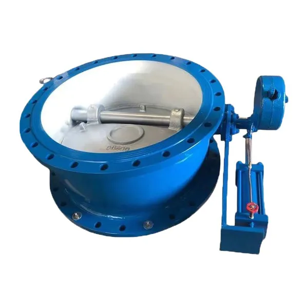 Manufacturer Direct Sales of High-quality Flange Butterfly Check Valve photo-4