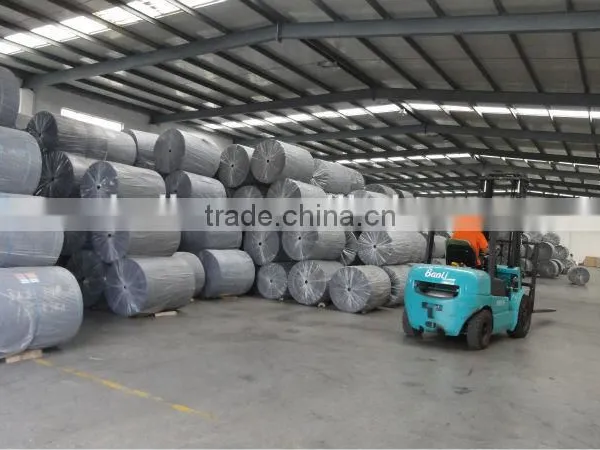 Polyester Mat Used for Sbs/app Waterproof Membrane photo-2