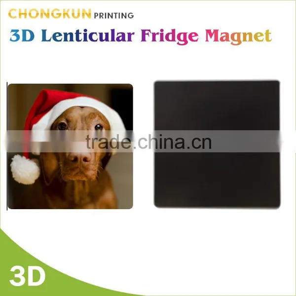 Funny Design Animal Picture Printed Cat Fridge Magnets photo-2