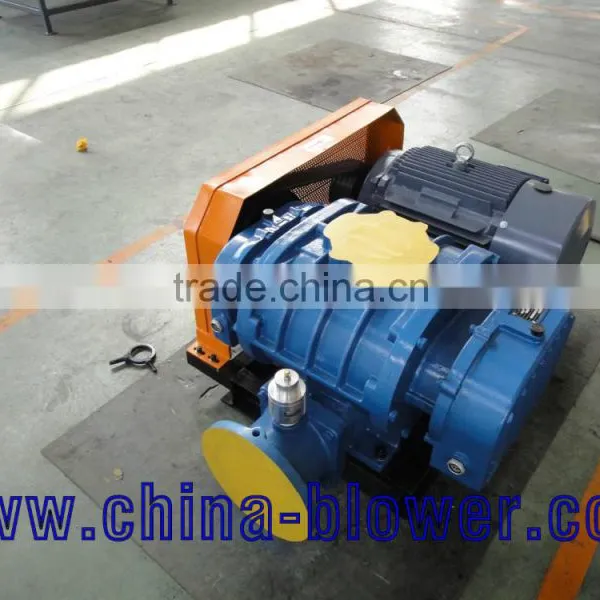 Roots Vacuum Pump Gas photo-4