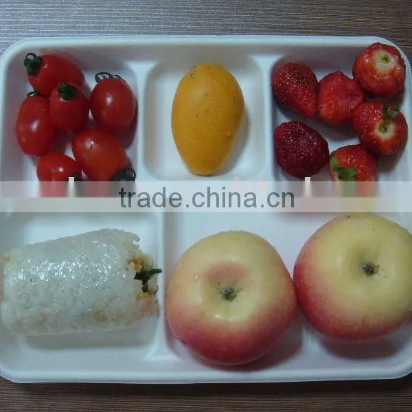 5 Compartment School Lunch Tray