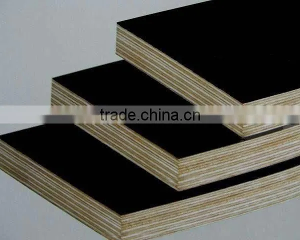18MMX1220X2440 Russia Birch Core Film Faced Plywood photo-6