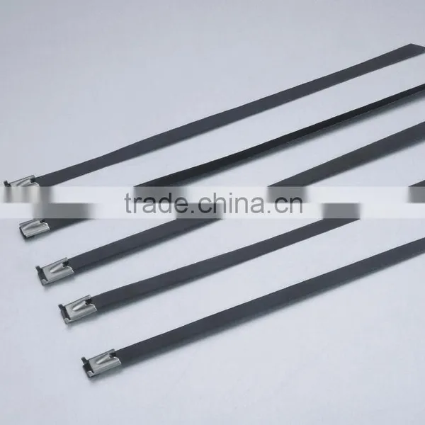 Offer Stainless Steel Lock Ball Ties/SS CABLE TIES (material:304-201-316 ) 12*850 photo-5