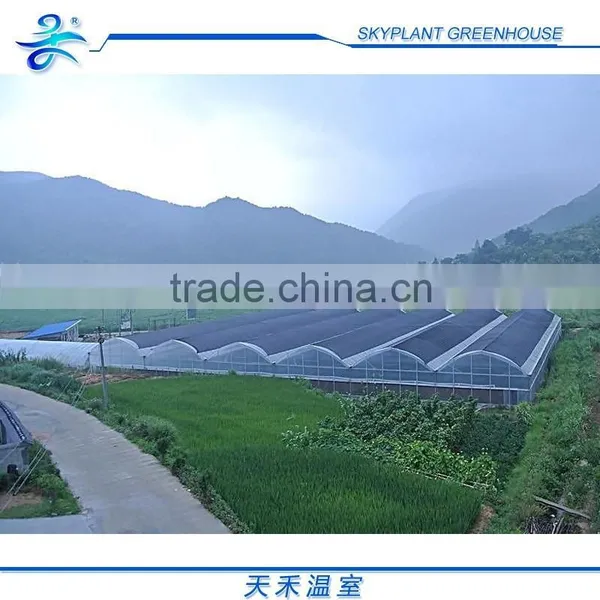 Large 10m Span Multi-Span Plastic Vegetable Greenhouse photo-4