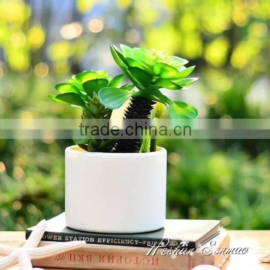 Hot Sale Indoor Decorative Competitive Price Artificial Potted Succulents With Competitive Price photo-3