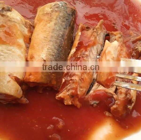 425g Canned Sardine in Tomato Sauce(WW-155) Tin Paking With HACCP IFS,BRC ISO photo-3