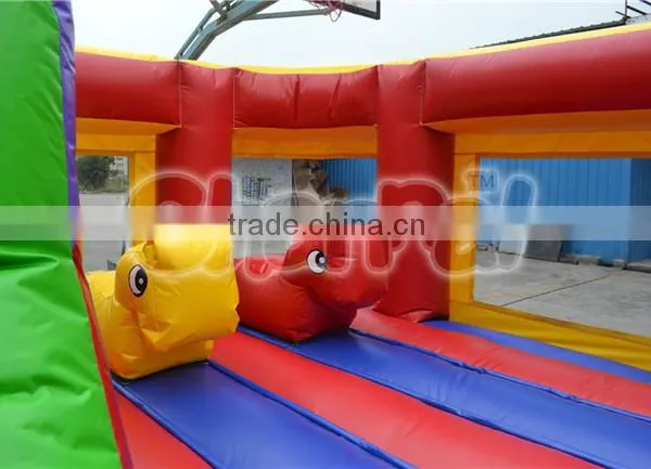 Professional Factory Giant Inflatable Games China,inflatables photo-4