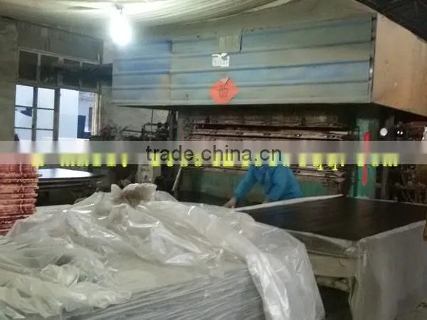 Lamination Hot Press Machine Manufactuer photo-2