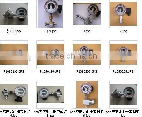 China Manufacturer Sf6 Gas Density Switches SF6 Insulated Switches photo-6