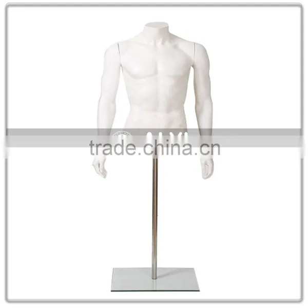 Display Male Mannequin Torso for Clothing
