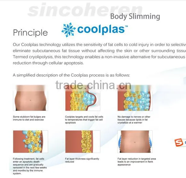 Most Effective Cryo Machine Weight Loss Cooplas Fat Freezing Beauty Equipment photo-4