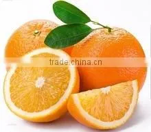 FRESH ORANGES