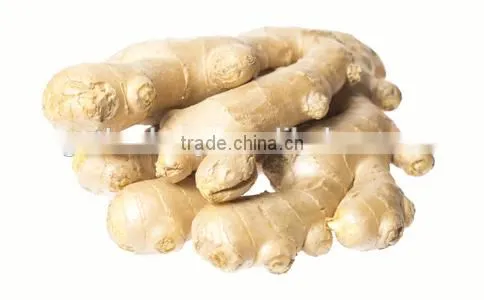 Supply Air-Dried Ginger for the UK &Spain photo-3