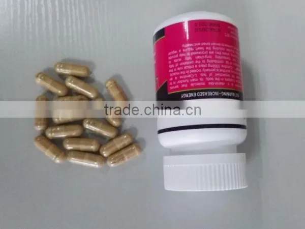 L-carnitine 541-15-1 for Weight Loss Supplements photo-2