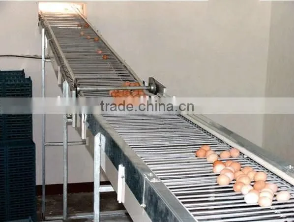 Best Selling Quail Cage For Sale in Quail Farm photo-5
