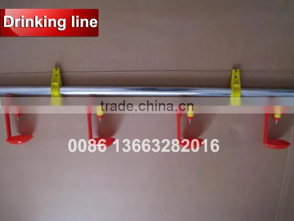 TA NO.1 Reduction Sale Galvanized and Quality Fittings Growing Broiler Chicken Cage photo-3
