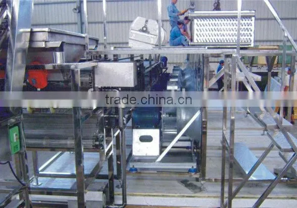Quick Freezing Machine Frozen French Fries Production Line photo-2