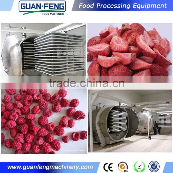 Vacuum Freeze Drying Machine For Fruits Stainless Steel Machine photo-4