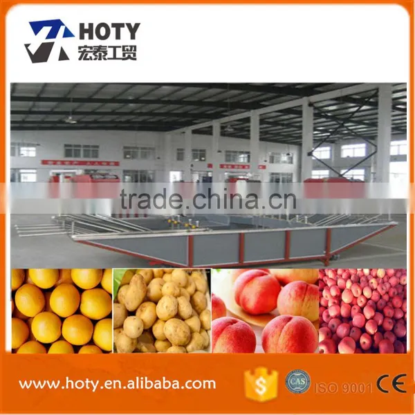 Kiwi Fruit Sorting Machine/Vegetable Sorting Machine for Sale