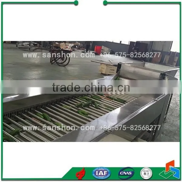 Hotsell Cherry Roller Clasiffier and Peanut Grading Machine and Tomato Grader photo-4