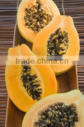 Papaya Fruit Microwave Vacuum Dryer photo-4