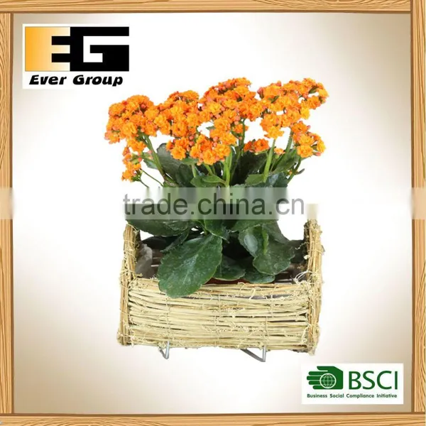 Natural Rattan Baskets Garden Planter Decoration Tray photo-6
