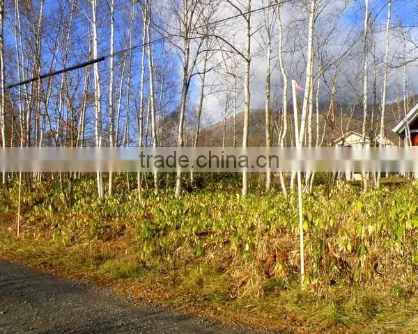 Ski Resort , Winter Resort , Condominiums and Hotels , Land for Sale photo-2