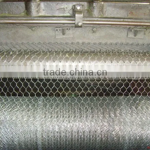 HEXAGONAL WIRE NETTING,galvanized or Plastic Coated photo-2