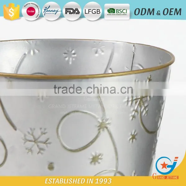 Growing Plants in Pots Outdoors Decorative Planters Plants and Pots photo-3