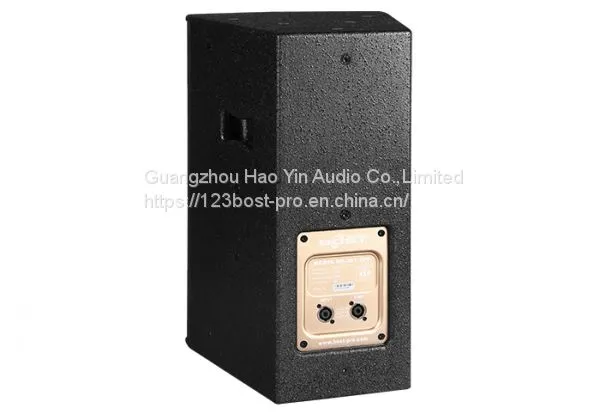 10 Inch Professional pa Stage Speaker MT-10 photo-2