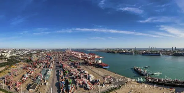 Tianjin To NAPLES Transport (20GP/40GP/40HC/Special Container ) CIF photo-3
