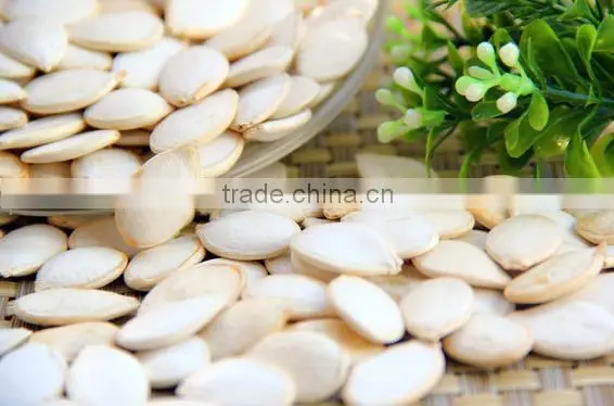 PUMPKIN SEEDS KERNEL