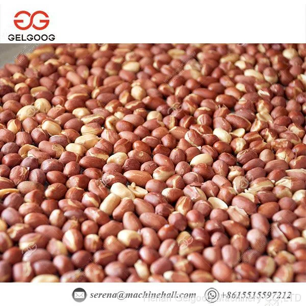 Electric Nut Roasting Machine Nut Roasting Equipment Cashew Nut Roasting Machine Price