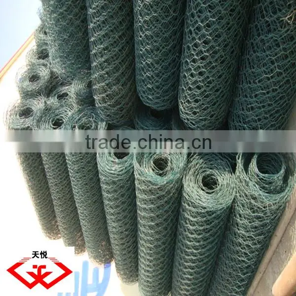 PVC Coated/Galvanized Hexagonal Wire Netting/Mesh (factory) photo-3
