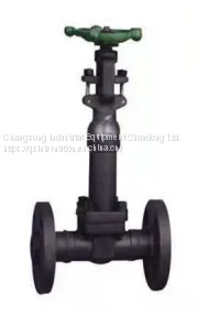 Cryogenic gate valve