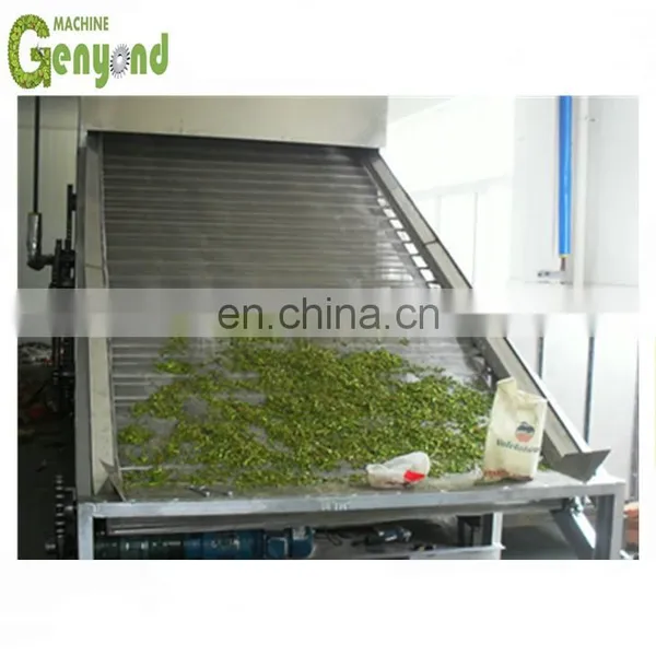 Dried Kiwi Chips Processing Line photo-2