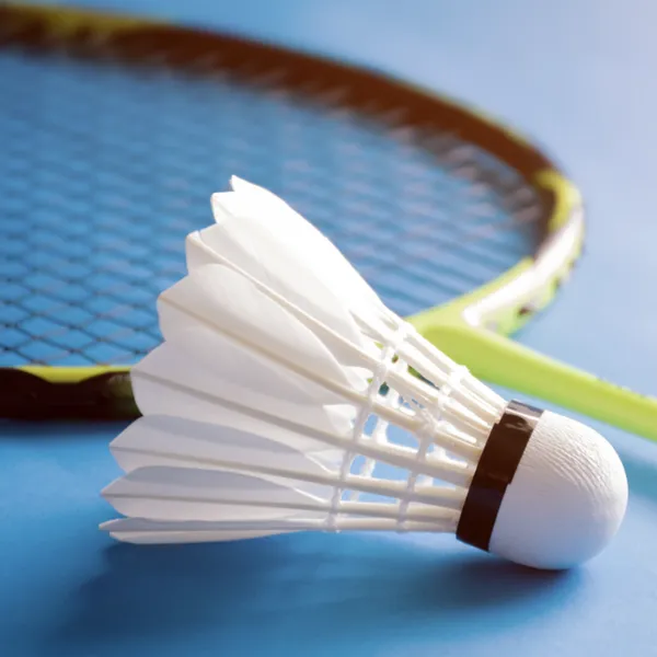 Professional Using Quality Badminton Shuttlecocks for practise and competition