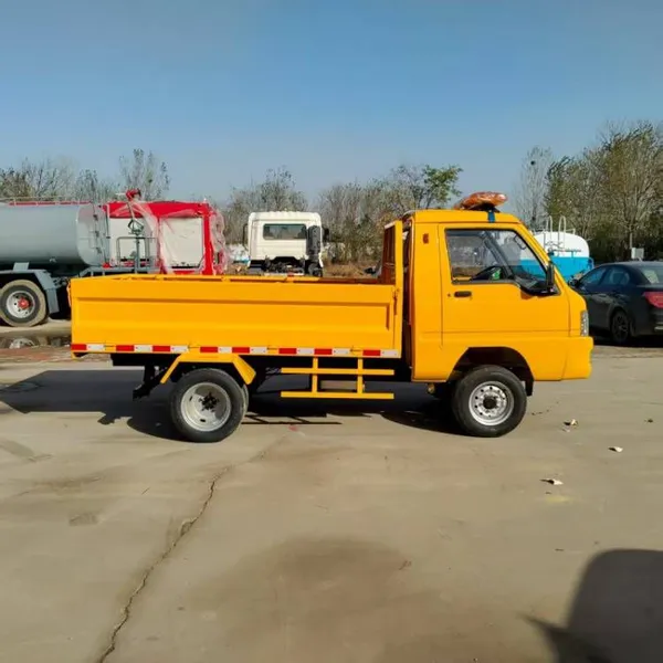 Electric Engineering Transport Vehicle in the Park, Agricultural Four - Wheel New Energy Dump Truck With Simple Operation photo-5