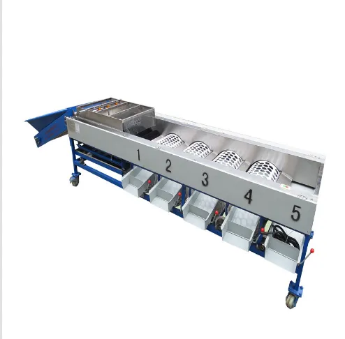 Vegetable Sorting Machine for Sale for Onion & Olive Sorting With Core PLC Components photo-3