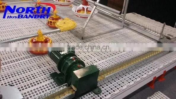 Best Quality Automatic Poultry Feeder and Drinker Poultry Farming Equipment for Sale in UAE photo-4