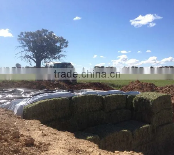 Muti-layer Sheeting Film for Silage Protection photo-3