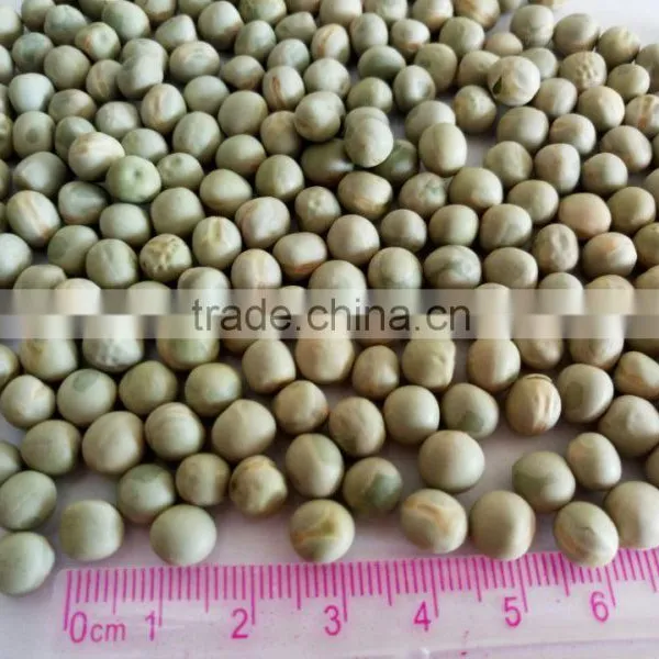 2016 Green Pea