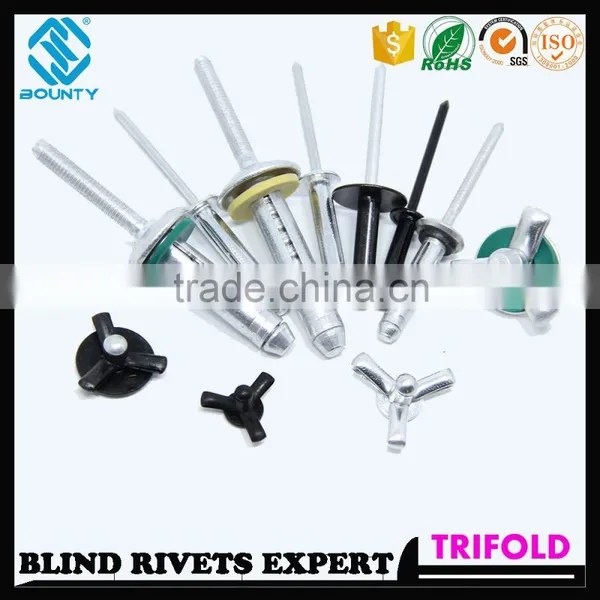 HIGH QUALITY FACTORY BLACK OXIDATION COLOR LSR/LS RIVETS FOR GLASS CURTAIN WALL photo-4