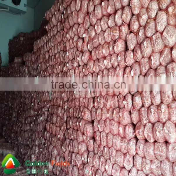 Health Food Bulk Supply Anti-cancer Edible Fungus Dried Shiitake photo-3
