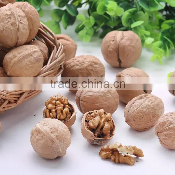 Cheap100% Organic Walnuts in Shell Price photo-4
